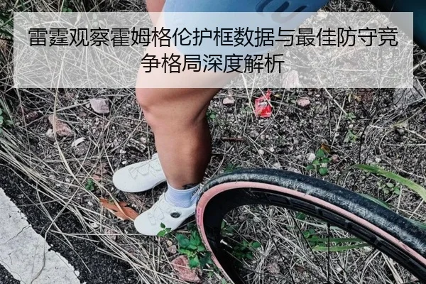 雷霆观察霍姆格伦护框数据与最佳防守竞争格局深度解析